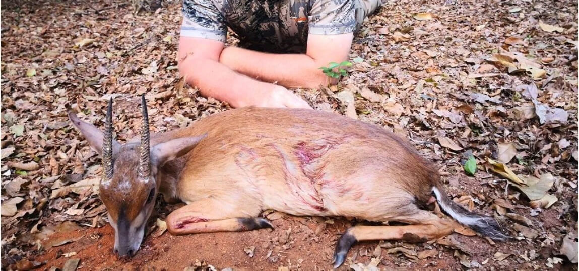 Tiny Ten Hunting in Mozambique