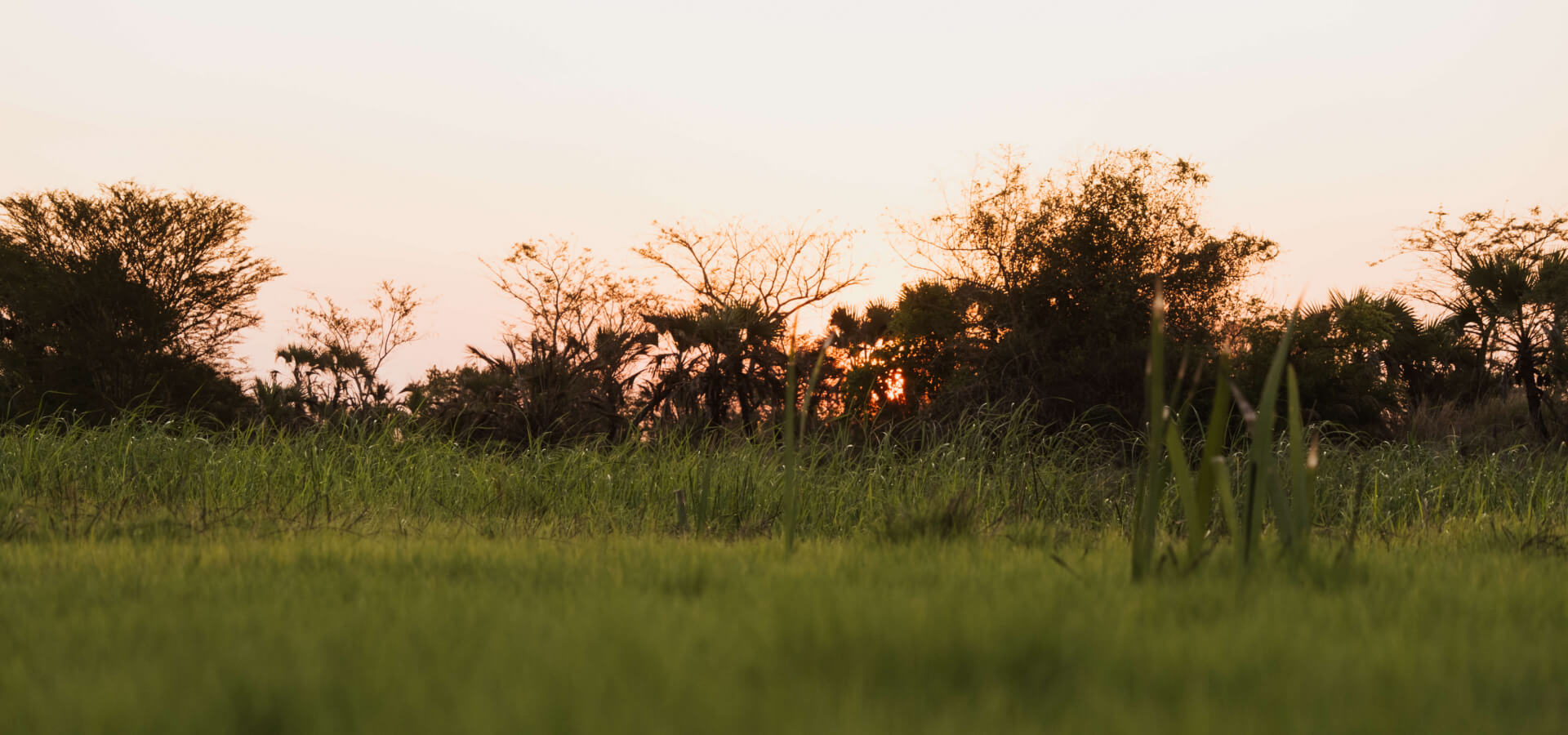Hunting The Northern Zambezi Delta: Mahimba