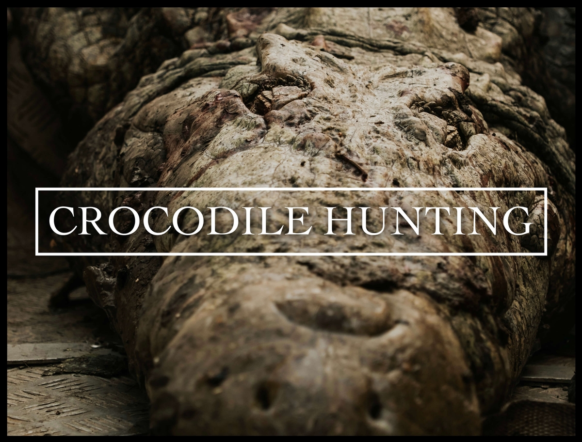 Crocodile Hunting in Mozambique